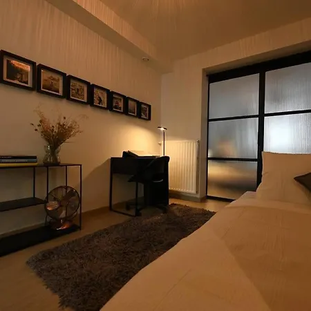 Superb 3 Bedroom & 3 Bathroom Duplex In Brussels City Centre Buitenkant foto