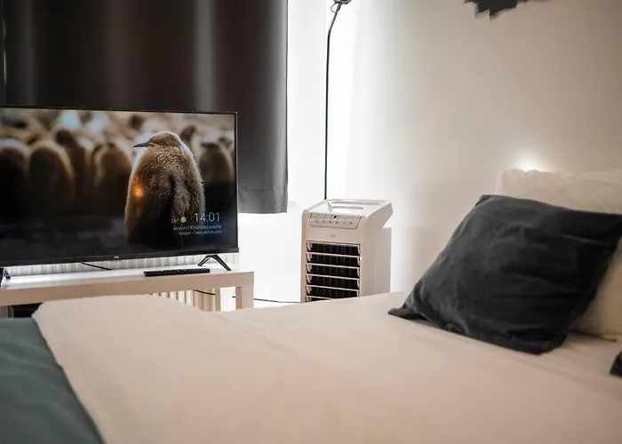 Superb 3 Bedroom & 3 Bathroom Duplex In Brussels City Centre